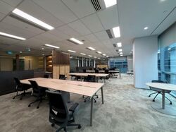 Mapletree Anson (D2), Office #504164821